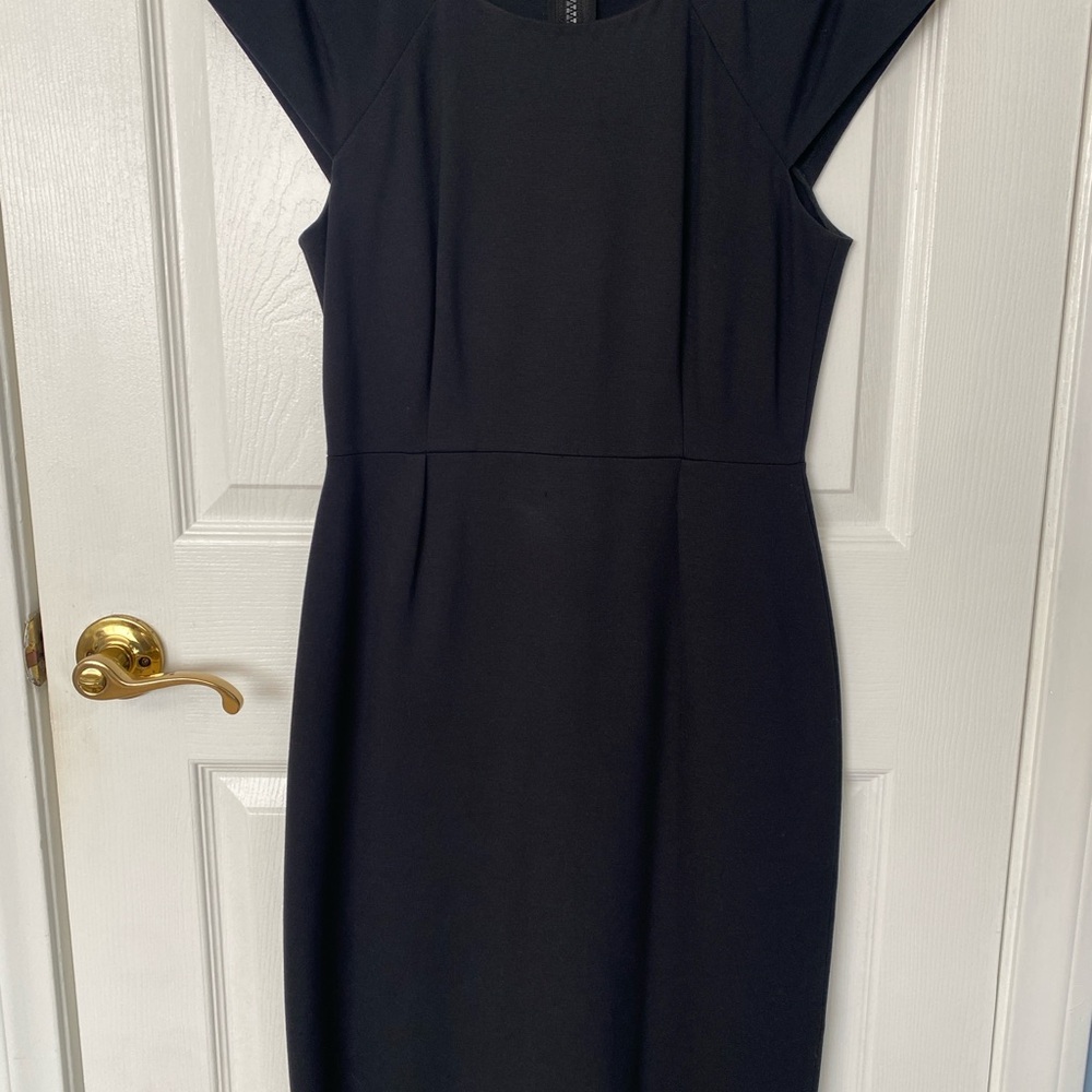 Kate Spade Blue Sheath Dress with Flutter Cap Sleeves